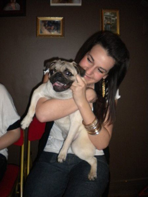 Photos de chiens Carlin
