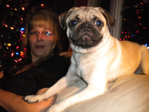 Photos de chiens Carlin