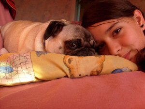 Photos de chiens Carlin