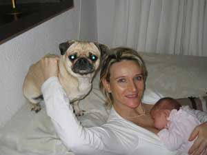 Photos de chiens Carlin